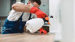 Reliable Sunnyvale, TX Pest Control Solutions